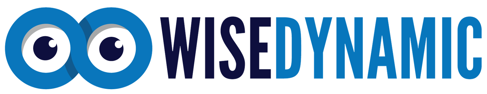 Wise Dynamic Private Limited